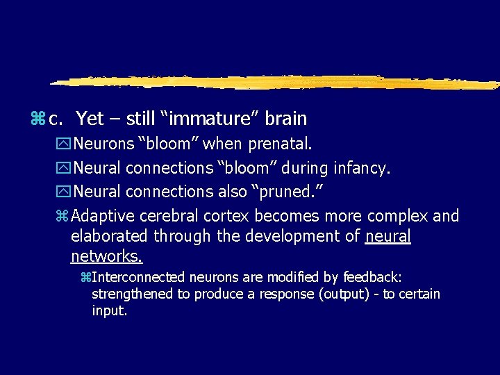 z c. Yet – still “immature” brain y. Neurons “bloom” when prenatal. y. Neural