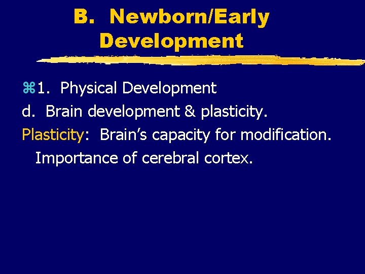 B. Newborn/Early Development z 1. Physical Development d. Brain development & plasticity. Plasticity: Brain’s B. Newborn/Early Development z 1. Physical Development d. Brain development & plasticity. Plasticity: Brain’s