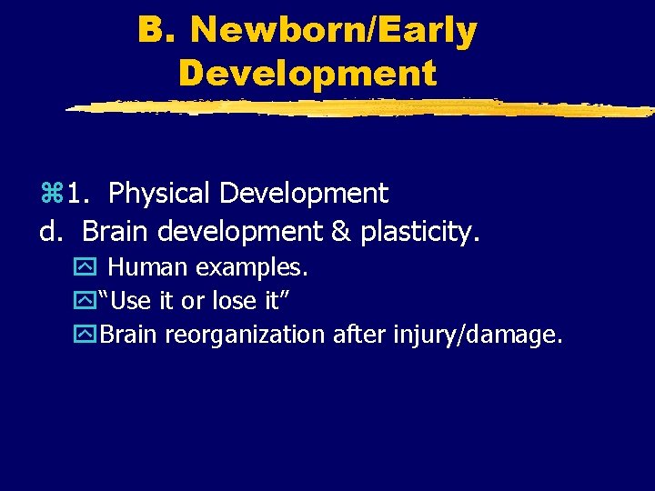 B. Newborn/Early Development z 1. Physical Development d. Brain development & plasticity. y Human B. Newborn/Early Development z 1. Physical Development d. Brain development & plasticity. y Human