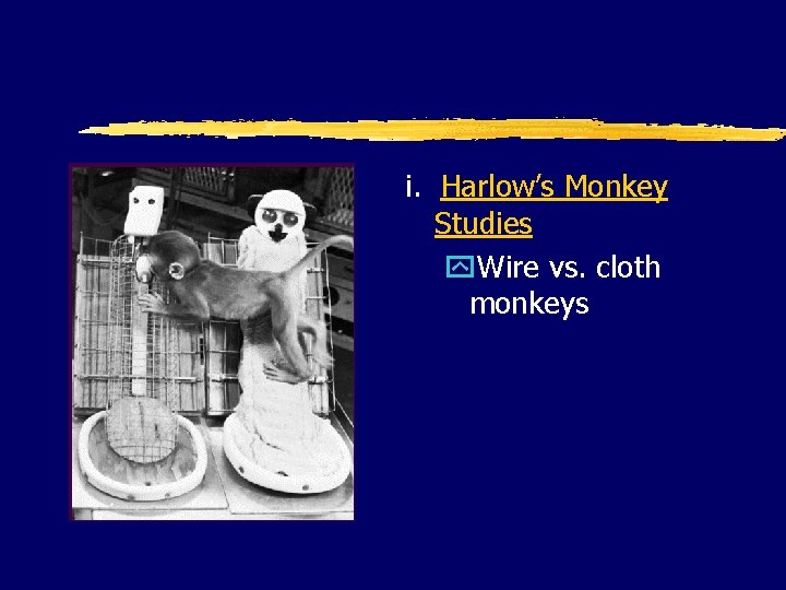 i. Harlow’s Monkey Studies y. Wire vs. cloth monkeys 