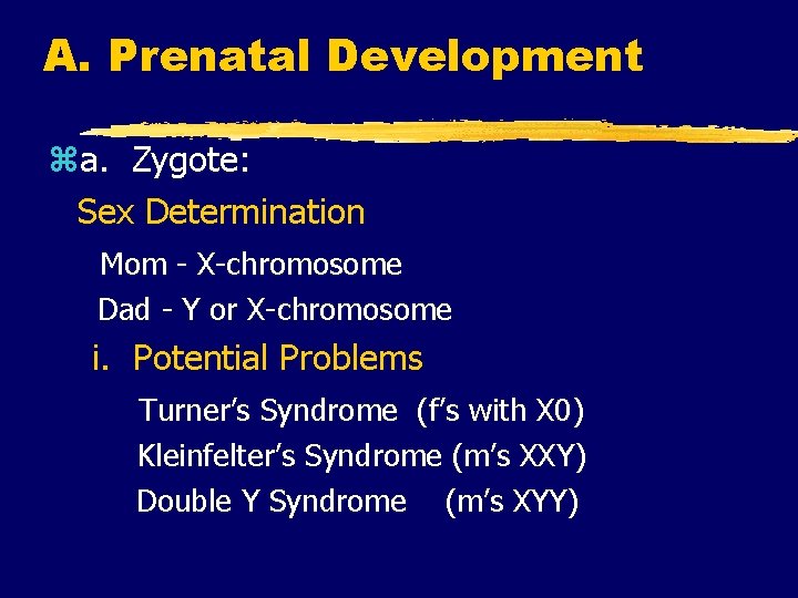A. Prenatal Development za. Zygote: Sex Determination Mom - X-chromosome Dad - Y or