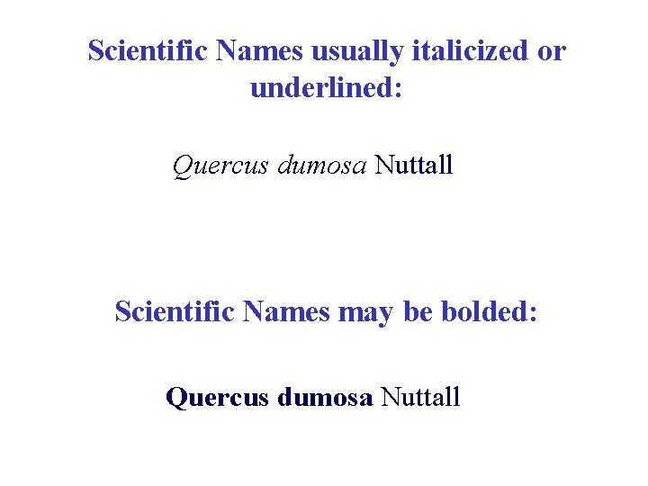 Scientific Names usually italicized or underlined: Quercus dumosa Nuttall Scientific Names may be bolded: