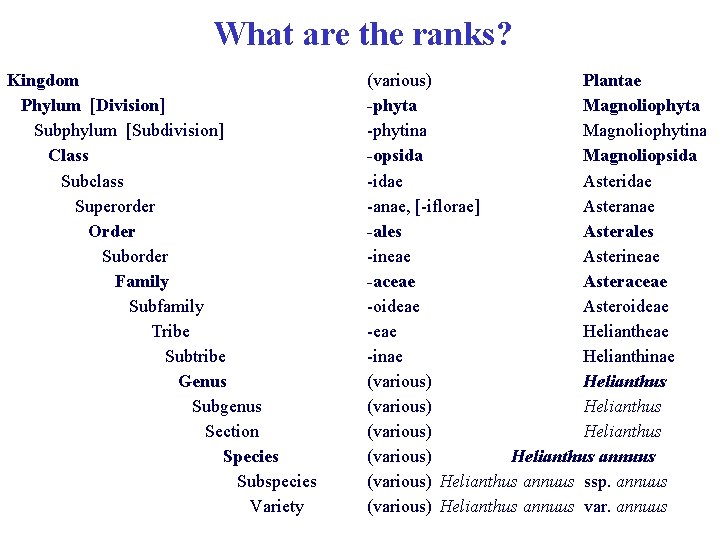 What are the ranks? Kingdom Phylum [Division] Subphylum [Subdivision] Class Subclass Superorder Order Suborder