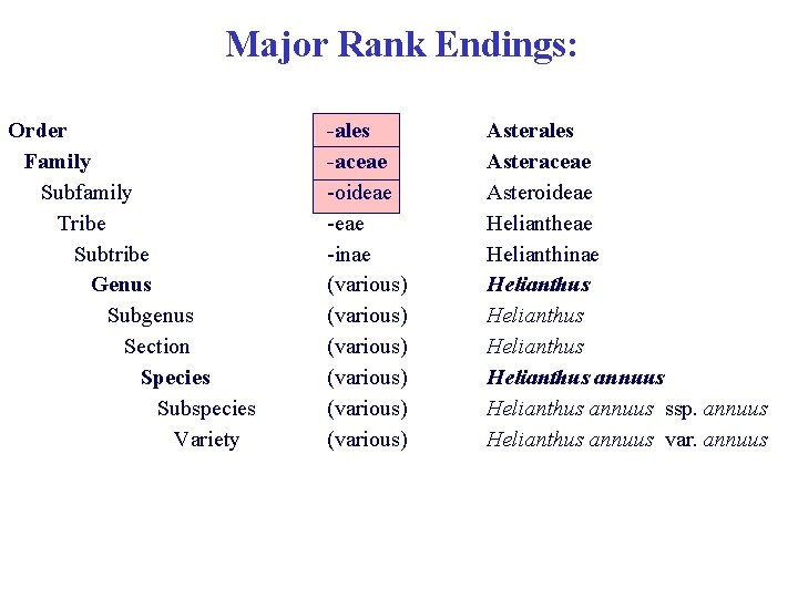 Major Rank Endings: Order Family Subfamily Tribe Subtribe Genus Subgenus Section Species Subspecies Variety