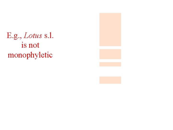 E. g. , Lotus s. l. is not monophyletic 