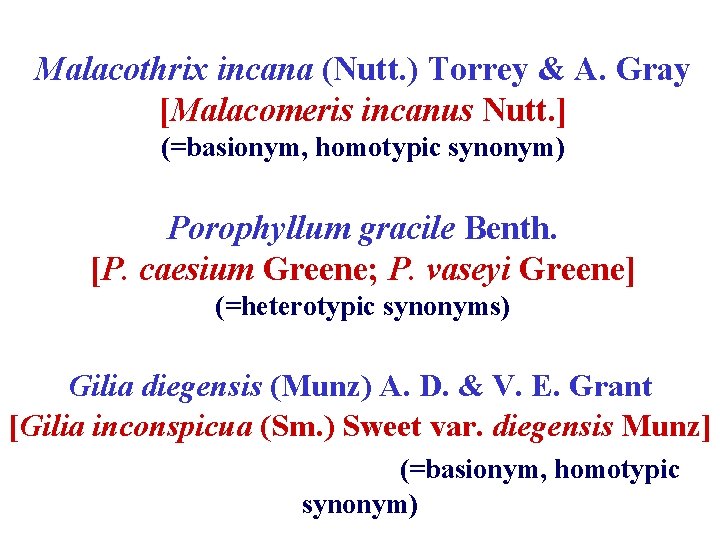 Malacothrix incana (Nutt. ) Torrey & A. Gray [Malacomeris incanus Nutt. ] (=basionym, homotypic