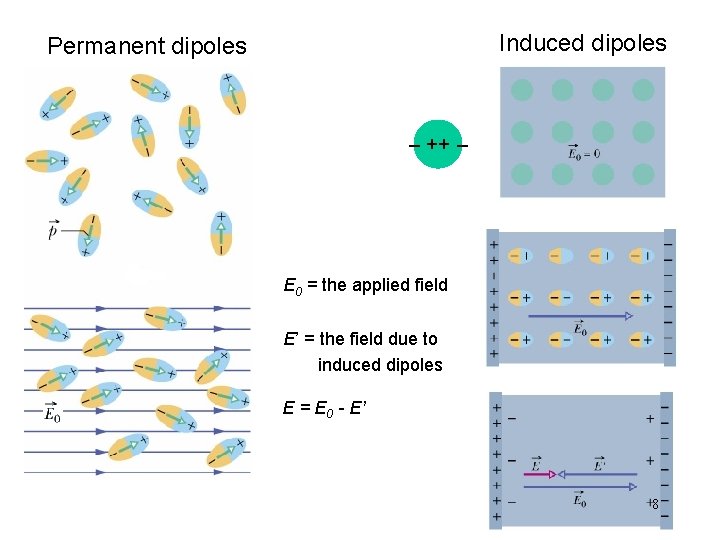 Induced dipoles Permanent dipoles _ ++ _ E 0 = the applied field E’