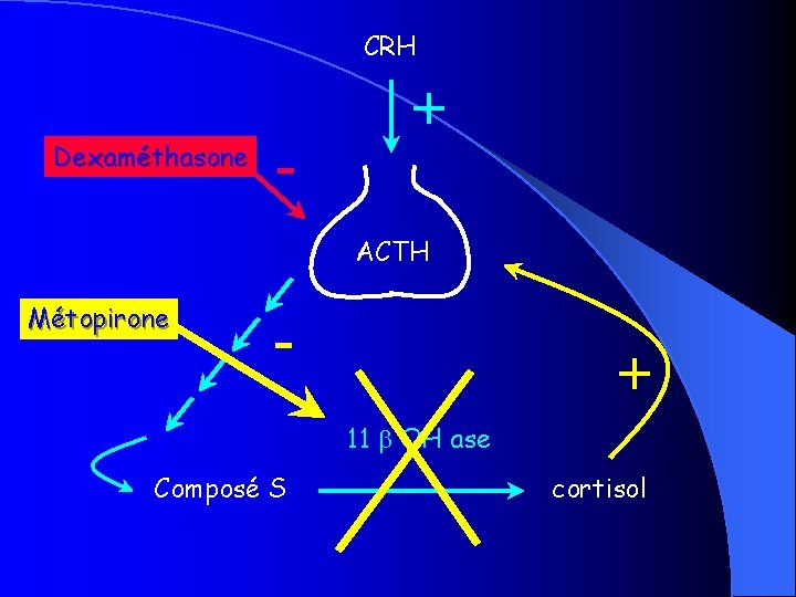 CRH Dexaméthasone - + ACTH Métopirone - + 11 OH ase Composé S cortisol