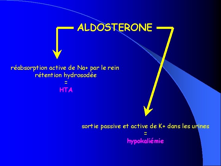 ALDOSTERONE réabsorption active de Na+ par le rein rétention hydrosodée = HTA sortie passive