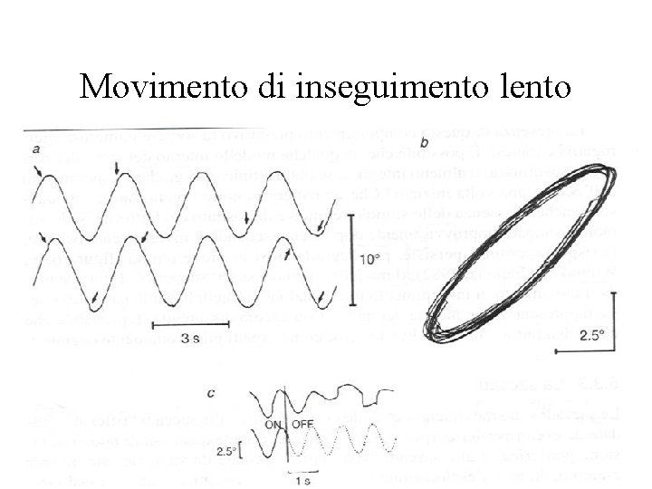 Movimento di inseguimento lento 