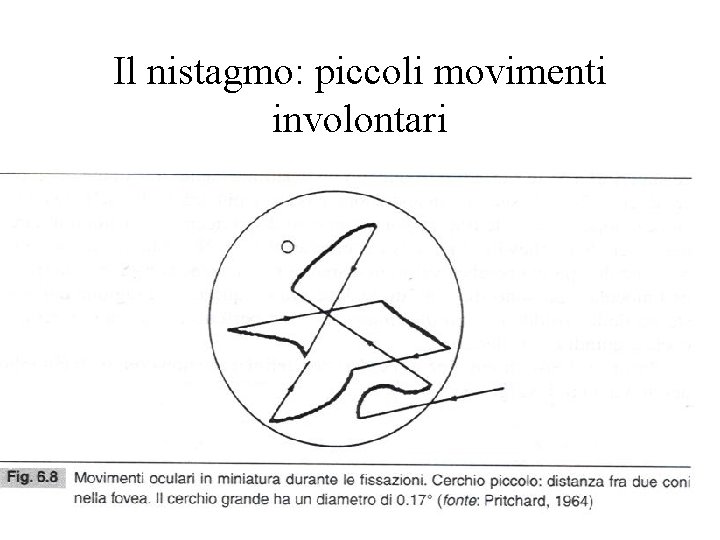 Il nistagmo: piccoli movimenti involontari 