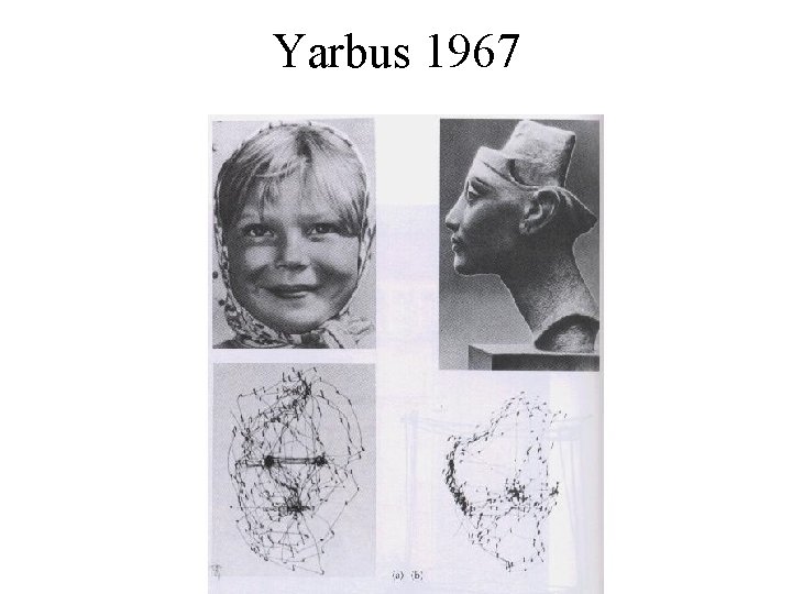 Yarbus 1967 