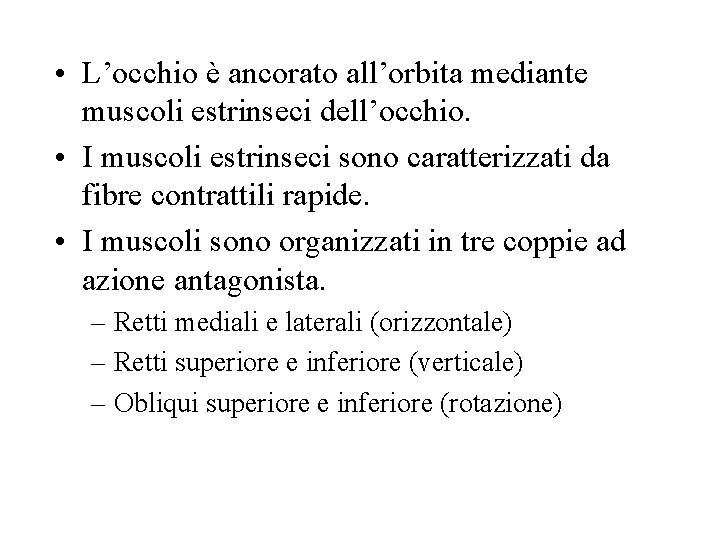  • L’occhio è ancorato all’orbita mediante muscoli estrinseci dell’occhio. • I muscoli estrinseci