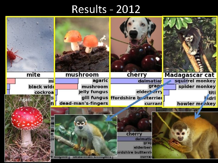 Results - 2012 Agaric 