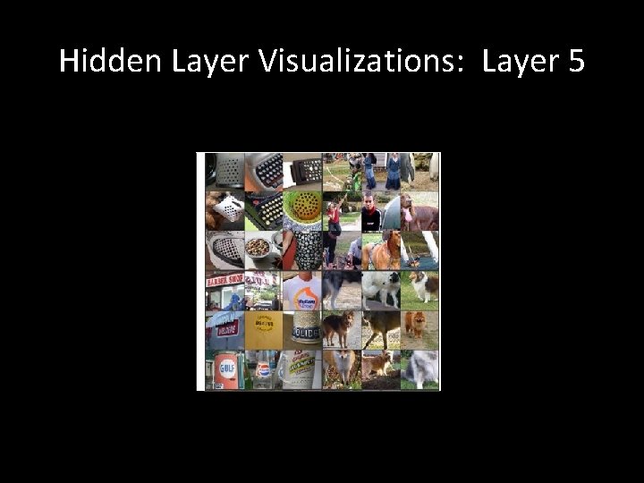 Hidden Layer Visualizations: Layer 5 