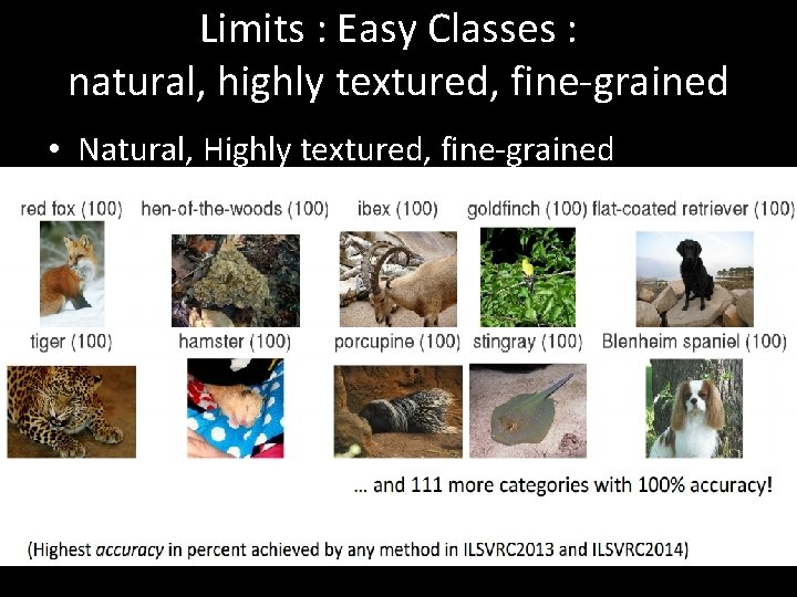 Limits : Easy Classes : natural, highly textured, fine-grained • Natural, Highly textured, fine-grained