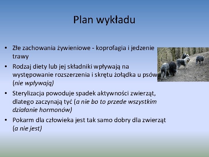 Plan wykładu • Złe zachowania żywieniowe - koprofagia i jedzenie trawy • Rodzaj diety