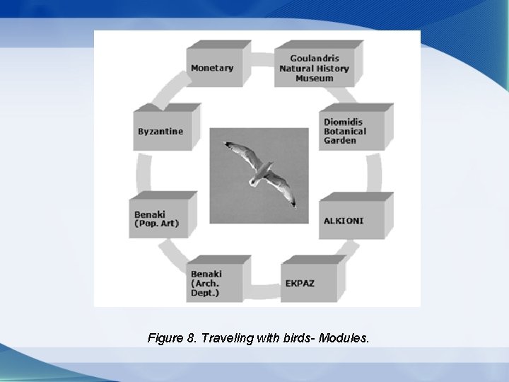 Figure 8. Traveling with birds- Modules. 