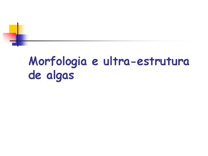 Morfologia e ultra-estrutura de algas 