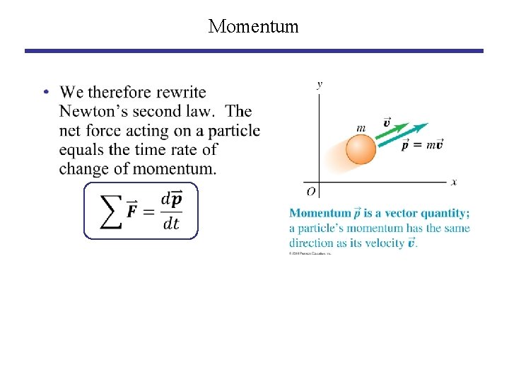 Momentum • 