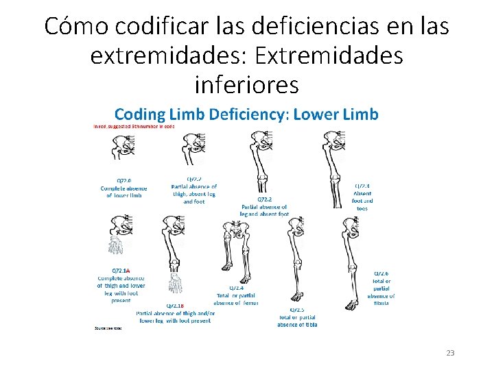 Cómo codificar las deficiencias en las extremidades: Extremidades inferiores 23 