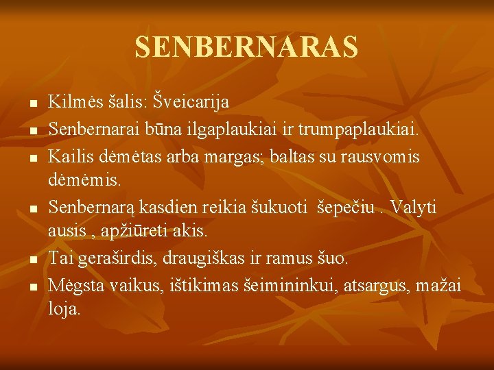 SENBERNARAS n n n Kilmės šalis: Šveicarija Senbernarai būna ilgaplaukiai ir trumpaplaukiai. Kailis dėmėtas