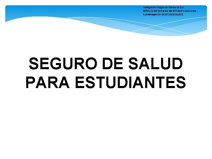 Delegación Regional Veracruz Sur Jefatura de Servicios de Afiliación Cobranza Subdelegación COATZACOALCOS SEGURO DE