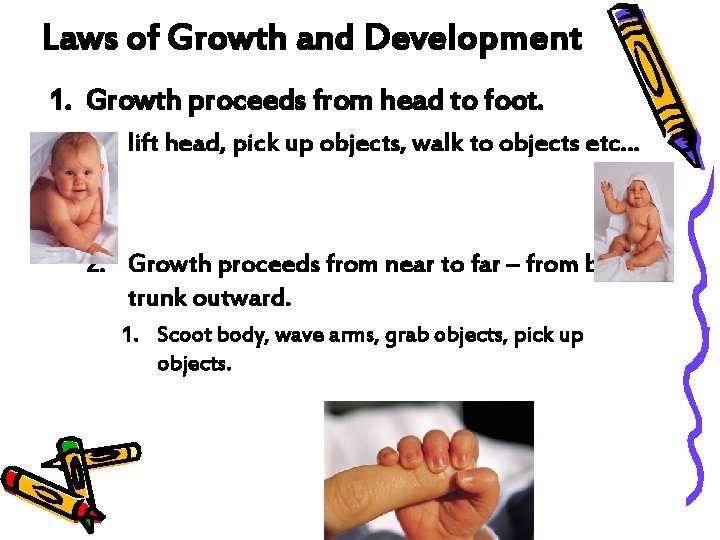 Laws of Growth and Development 1. Growth proceeds from head to foot. – lift