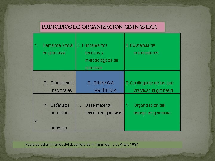 PRINCIPIOS DE ORGANIZACIÓN GIMNÁSTICA 1. Demanda Social 2. Fundamentos en gimnasia 3. Existencia de