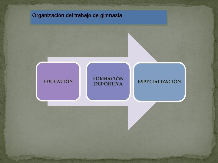 Organización del trabajo de gimnasia EDUCACIÓN FORMACIÓN DEPORTIVA ESPECIALIZACIÓN 