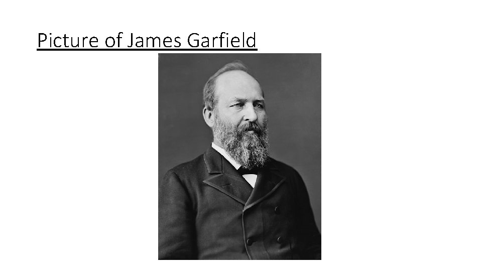 Picture of James Garfield 