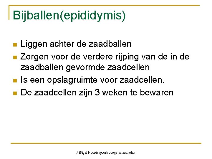 Bijballen(epididymis) n n Liggen achter de zaadballen Zorgen voor de verdere rijping van de