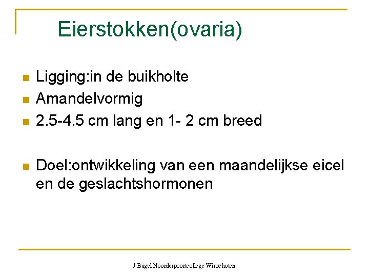 Eierstokken(ovaria) n n Ligging: in de buikholte Amandelvormig 2. 5 -4. 5 cm lang