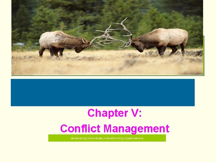 Chapter V: Conflict Management developing individuals, transforming organizations Chapter V: Conflict Management developing individuals, transforming organizations