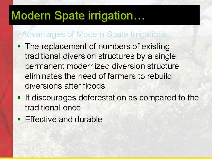 Modern Spate irrigation… Advantages of Modern Spate Irrigations § The replacement of numbers of