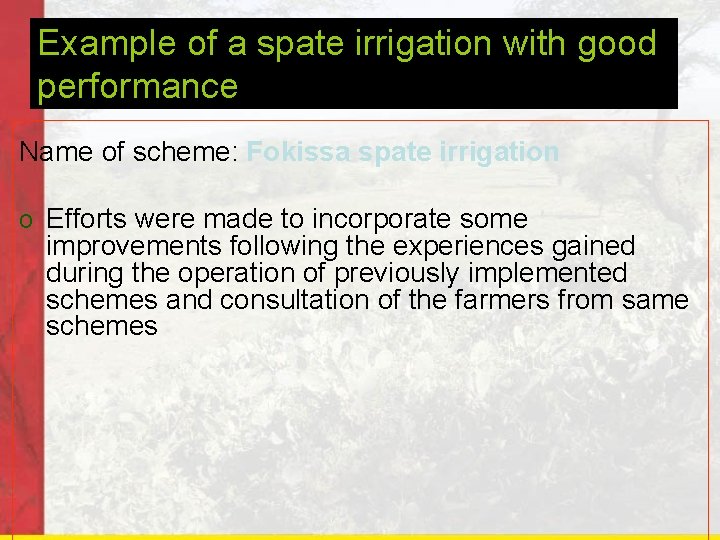 Example of a spate irrigation with good performance Name of scheme: Fokissa spate irrigation