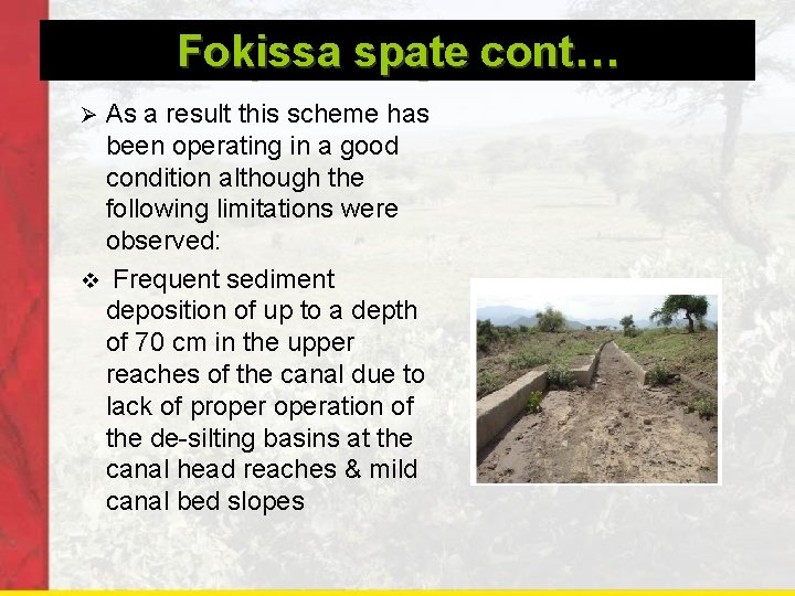Fokissa spate cont… Fokissa spate irrigation As a result this scheme has been operating