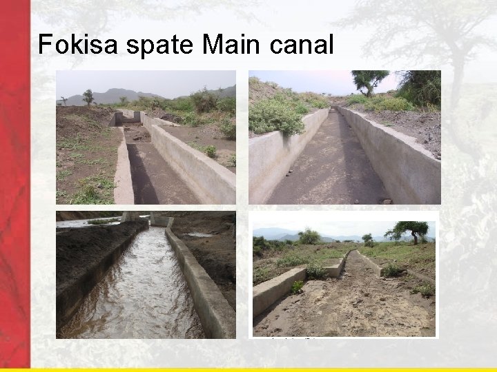 Fokisa spate Main canal 