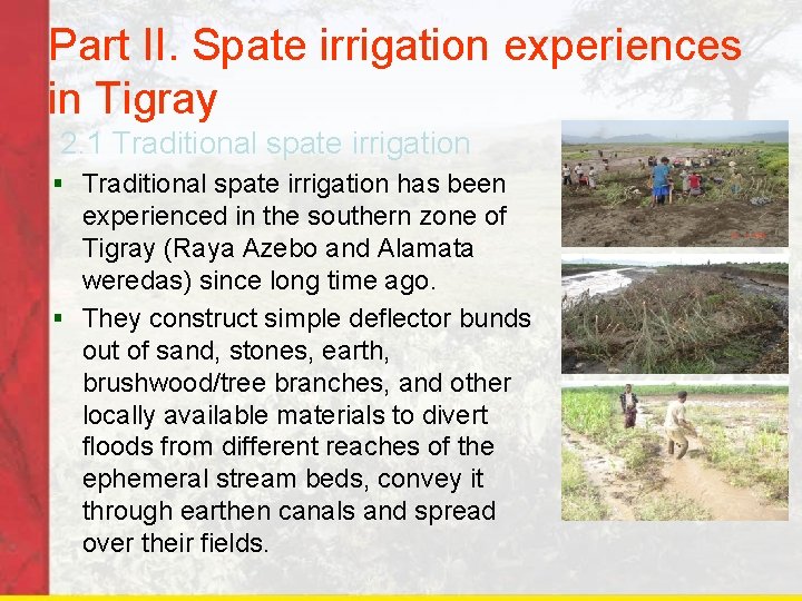 Part II. Spate irrigation experiences in Tigray 2. 1 Traditional spate irrigation § Traditional