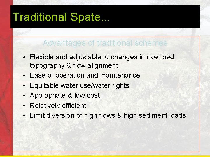 Traditional Spate… Advantages of traditional schemes • • • Flexible and adjustable to changes