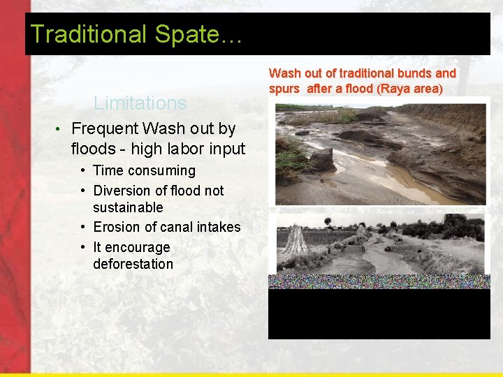 Traditional Spate… Limitations • Frequent Wash out by floods - high labor input •