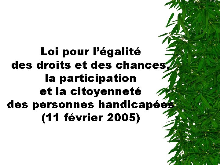 Loi pour l’égalité des droits et des chances, la participation et la citoyenneté des