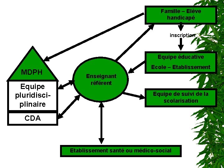 Famille – Elève handicapé inscription Equipe éducative MDPH Equipe pluridisciplinaire Ecole – Etablissement Enseignant