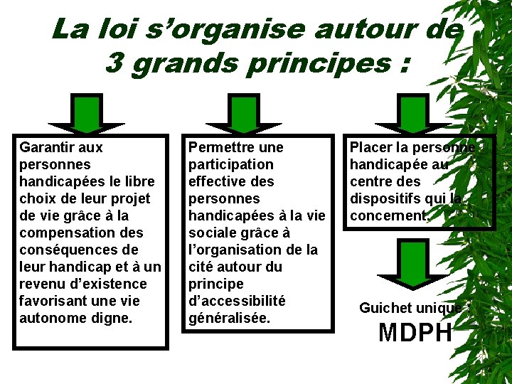 La loi s’organise autour de 3 grands principes : Garantir aux personnes handicapées le