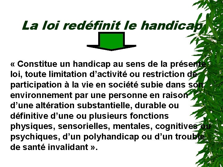 La loi redéfinit le handicap « Constitue un handicap au sens de la présente