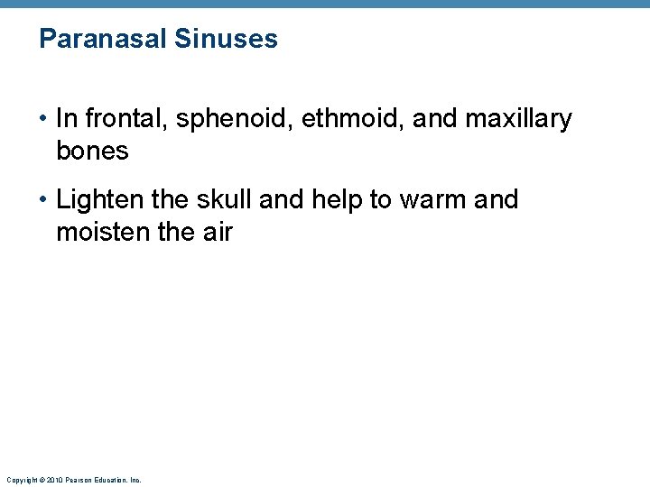 Paranasal Sinuses • In frontal, sphenoid, ethmoid, and maxillary bones • Lighten the skull