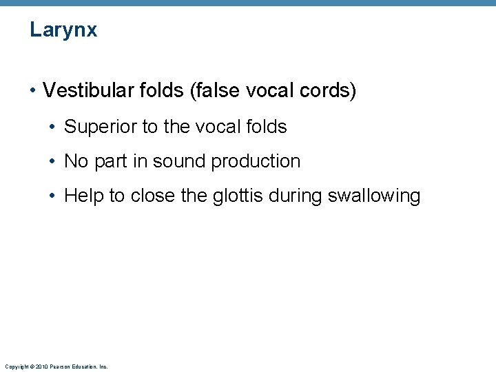 Larynx • Vestibular folds (false vocal cords) • Superior to the vocal folds •