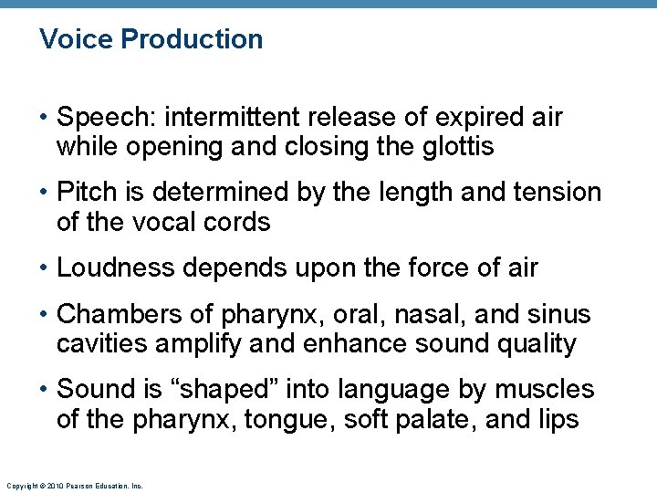 Voice Production • Speech: intermittent release of expired air while opening and closing the