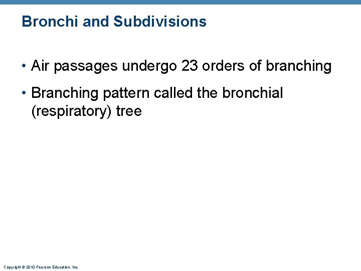 Bronchi and Subdivisions • Air passages undergo 23 orders of branching • Branching pattern