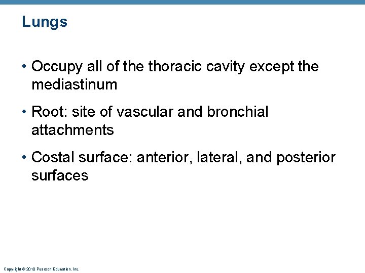 Lungs • Occupy all of the thoracic cavity except the mediastinum • Root: site